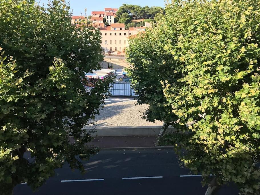Studio Bon Dia/Balcon/Proche Criques Et Collioure Apartment Port Vendres Exterior photo